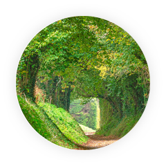 Icon representing Aymium's About page.