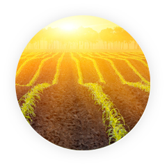 Icon representing Aymium's Products section.